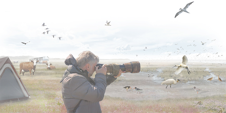 SPONSLAND Schiermonnikoog